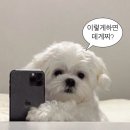 다해팩토리 네이버블로그