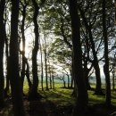 파랑새노래방 이미지