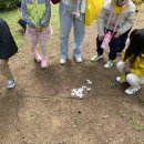 성락유치원 이미지