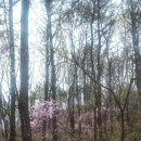 국사봉 누리길 이미지