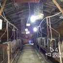 신영농장 이미지