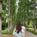 영산산림 이미지