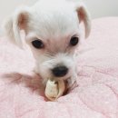 쓱싹 이미지