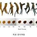 명성수삼 이미지