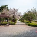 현촌근린공원 주변 이미지
