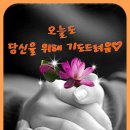일신사 이미지
