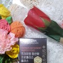 뉴트리디언 네이버블로그