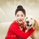 OK동물병원 이미지