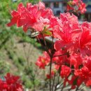 보람민박 이미지