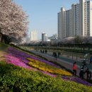 온천천시민공원 자전거대여소 이미지