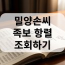 손씨