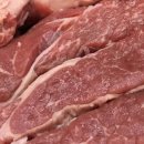 소한마리 이미지