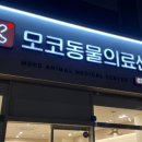 모코동물의료센터 이미지