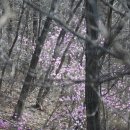 꽃의편지 - 북구 박상진9로 19 | 꽃의편지