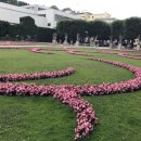 미라벨(MIRABELL) 이미지