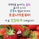 장미보석 - 양주시 고암길 306-77 | 장미보석