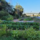 장수실버그린 이미지