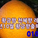 오렌지게스트하우스 이미지