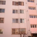 사파동309 이미지