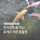 인삼랜드(상)휴게소 | 무주 여행 중 들른 금산 인삼랜드휴게소 후기