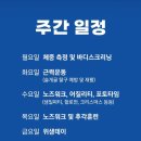플레이멍 광주애견유치원&애견호텔 이미지
