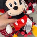 프라이펫 이미지