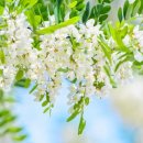 현대차전문점 이미지