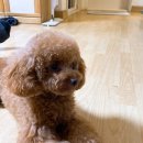 반자주 장산점 이미지