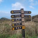 하늘정원 이미지