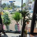 중앙탑뚱감자메밀막국수원주점 | 단체모임부터 가족외식까지 만족했던 중앙탑뚱감자메밀막국수 원주점 방문 후기