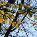 무이공간 호계점 | 오인교의 전라도누정기행- 절묘한 풍광에 앉은 장흥 경호정(鏡湖亭)