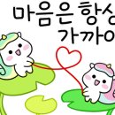 사르르호두 네이버블로그