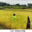 한국농약씨앗 이미지