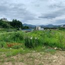 철용농장 이미지