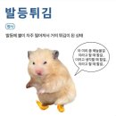 호떡당메타 | 마케터 취업 준비] 도와세움 디마에 92기 전직 치과위생사의 마케터 취뽀 도전기 9주차(3) - 메타광고준비