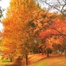 한들농장 이미지