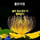 미소사니