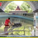 바위농장 이미지