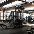 라인핏피티 이미지