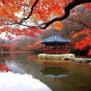 우화정 - 경산시 | 우화정