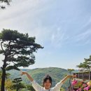 금강사 - 서구 북항로245번길 13-27 | 금강사