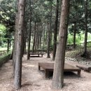 구덕산 유아숲체험원 이미지