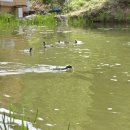 기러기민박 이미지