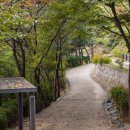 봄정형외과의원 이미지