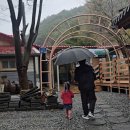 수가솔방 솔잎찜질방 | 평창 찜질방 사우나 | 여우재 수가솔방 솔잎 찜질방, 평창 아이랑 갈만한 곳