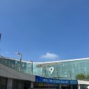 일산 킨텍스 펫페어 짧은 후기(메가주_첫째 날 오픈런)