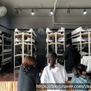 서귀포롤러스케이트장 이미지