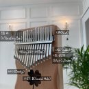 레인보우피아노뮤직음악학원 이미지