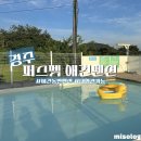 효현 애견펜션 | 경주애견펜션 추천, 가성비 좋은 퍼스펫 애견펜션 (중형견, 대형견 가능)