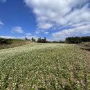 남서경로당 이미지